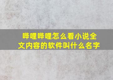 哔哩哔哩怎么看小说全文内容的软件叫什么名字