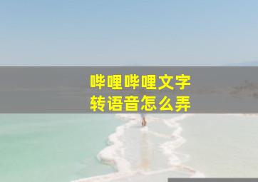 哔哩哔哩文字转语音怎么弄