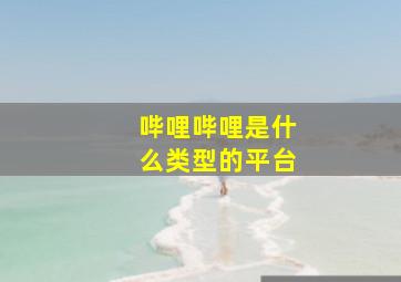 哔哩哔哩是什么类型的平台