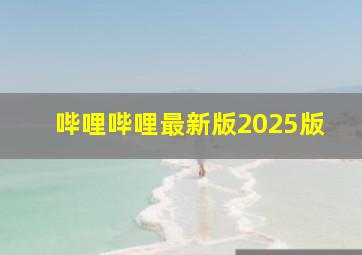 哔哩哔哩最新版2025版