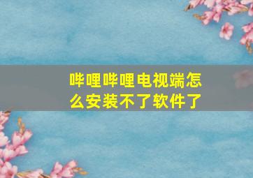 哔哩哔哩电视端怎么安装不了软件了