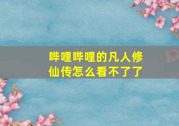 哔哩哔哩的凡人修仙传怎么看不了了