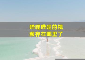 哔哩哔哩的视频存在哪里了