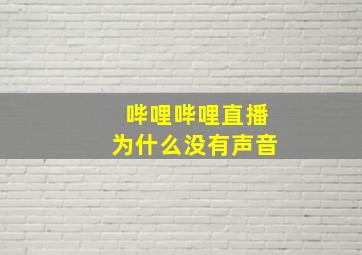 哔哩哔哩直播为什么没有声音