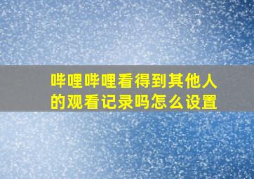 哔哩哔哩看得到其他人的观看记录吗怎么设置