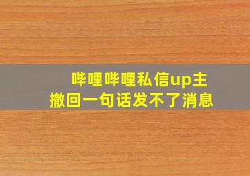 哔哩哔哩私信up主撤回一句话发不了消息