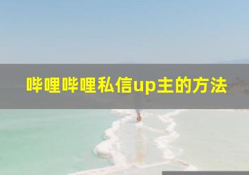 哔哩哔哩私信up主的方法