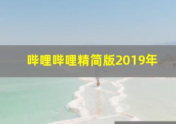 哔哩哔哩精简版2019年