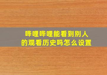 哔哩哔哩能看到别人的观看历史吗怎么设置