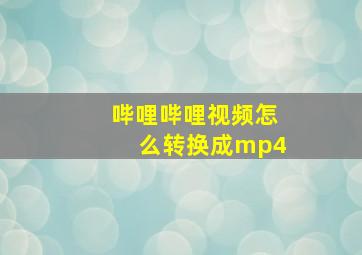 哔哩哔哩视频怎么转换成mp4