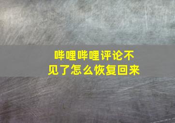 哔哩哔哩评论不见了怎么恢复回来