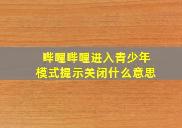 哔哩哔哩进入青少年模式提示关闭什么意思