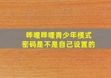 哔哩哔哩青少年模式密码是不是自己设置的