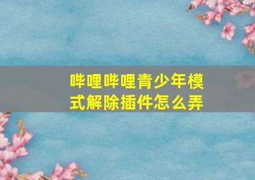 哔哩哔哩青少年模式解除插件怎么弄