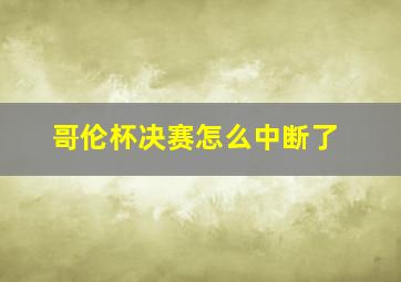 哥伦杯决赛怎么中断了