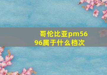 哥伦比亚pm5696属于什么档次