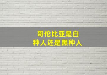 哥伦比亚是白种人还是黑种人