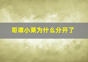 哥谭小莱为什么分开了