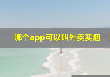 哪个app可以叫外卖买烟