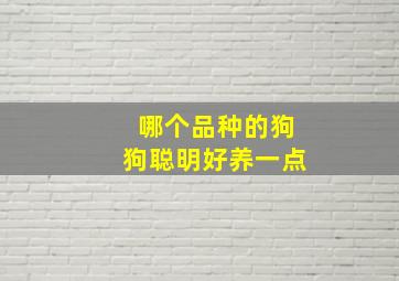 哪个品种的狗狗聪明好养一点