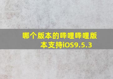 哪个版本的哔哩哔哩版本支持iOS9.5.3