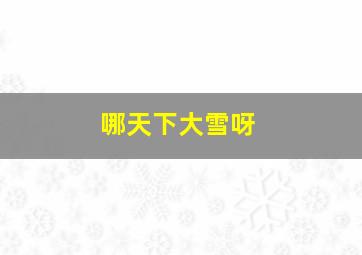 哪天下大雪呀