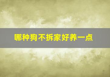 哪种狗不拆家好养一点