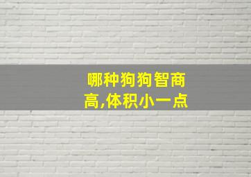 哪种狗狗智商高,体积小一点