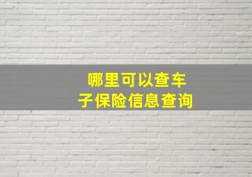 哪里可以查车子保险信息查询