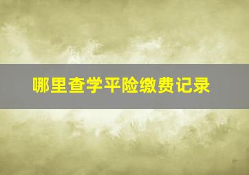 哪里查学平险缴费记录