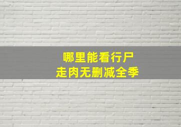 哪里能看行尸走肉无删减全季