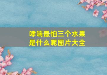 哮喘最怕三个水果是什么呢图片大全