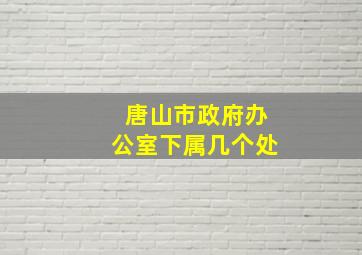 唐山市政府办公室下属几个处