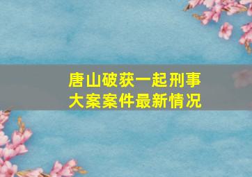 唐山破获一起刑事大案案件最新情况