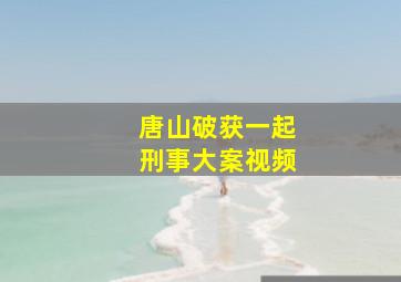 唐山破获一起刑事大案视频