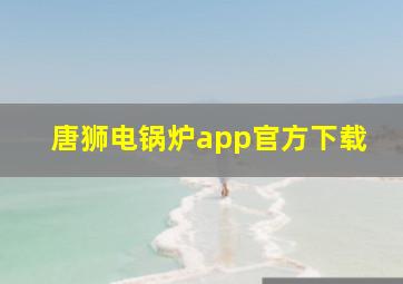 唐狮电锅炉app官方下载