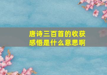 唐诗三百首的收获感悟是什么意思啊