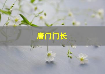 唐门门长