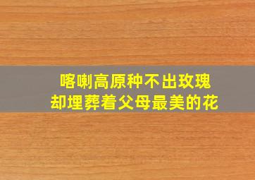 喀喇高原种不出玫瑰却埋葬着父母最美的花