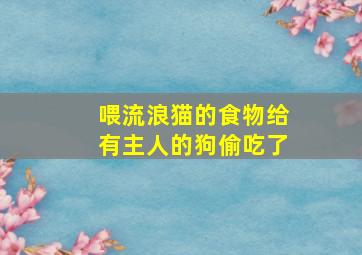 喂流浪猫的食物给有主人的狗偷吃了