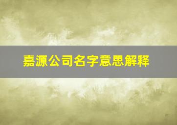 嘉源公司名字意思解释