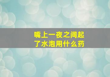 嘴上一夜之间起了水泡用什么药