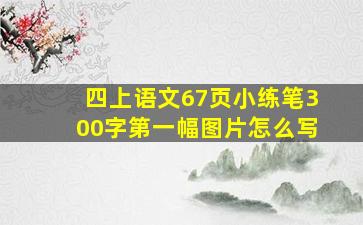 四上语文67页小练笔300字第一幅图片怎么写