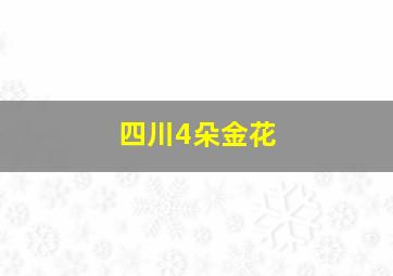 四川4朵金花