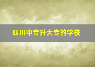 四川中专升大专的学校