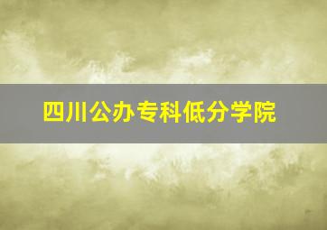 四川公办专科低分学院