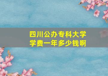 四川公办专科大学学费一年多少钱啊