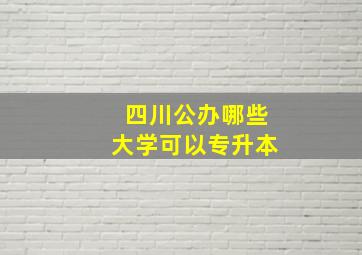 四川公办哪些大学可以专升本