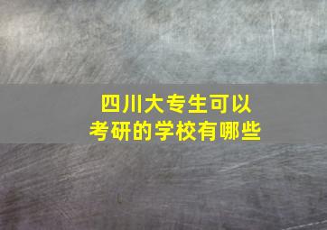 四川大专生可以考研的学校有哪些