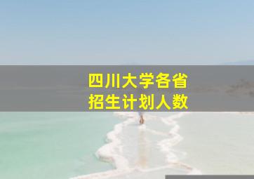 四川大学各省招生计划人数